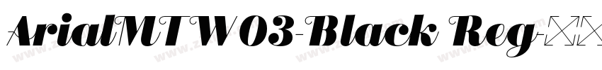 ArialMTW03-Black Reg字体转换